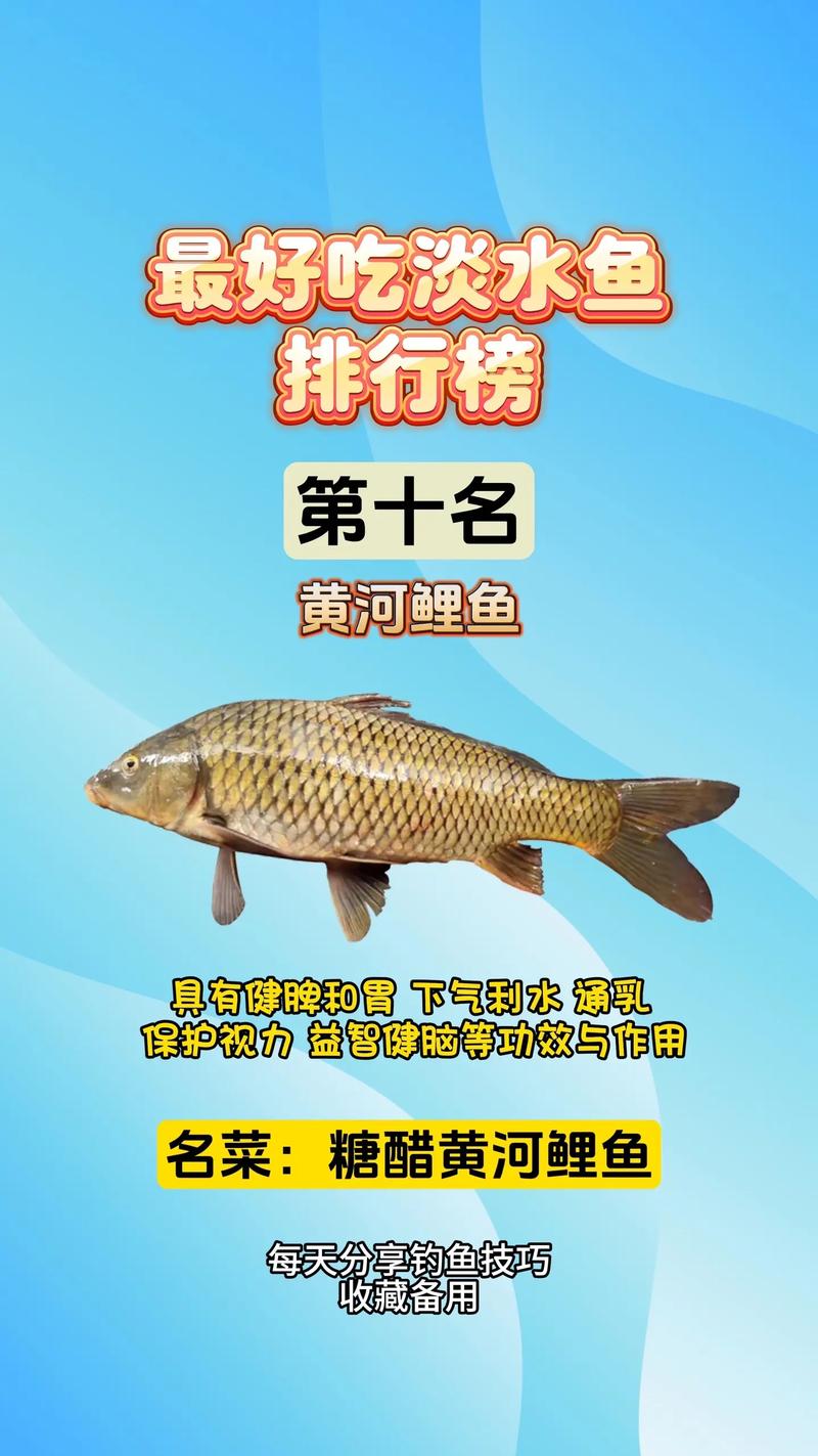 淡水鱼口感排行榜 钓鱼人必知的味觉盛宴
