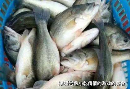 水产市场这4种鱼,是公认 王牌 淡水鱼第一种钟南山格外喜欢